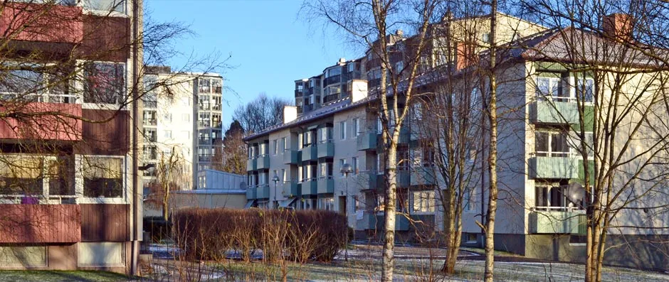 Föreningens hus med gröna balkonger bakom björkar